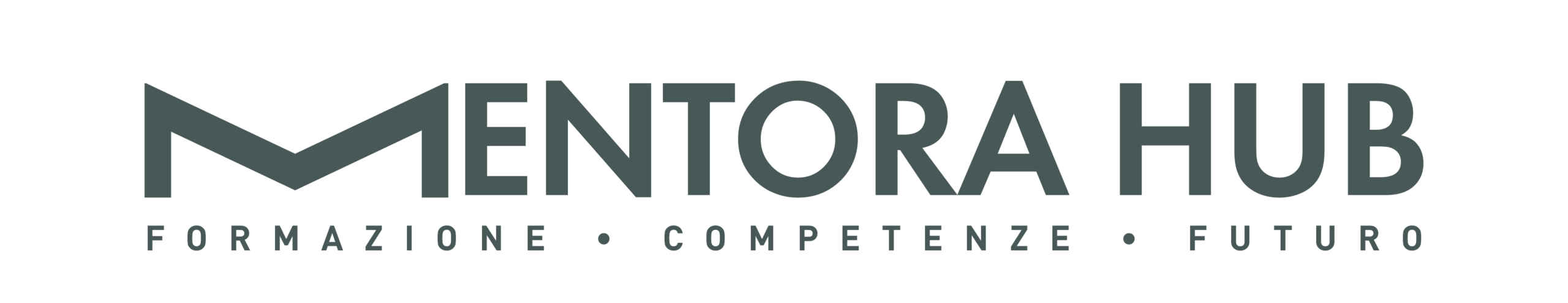 Mentora Hub